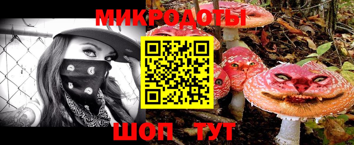 Галлюциногенные грибы Psilocybe Камышлов