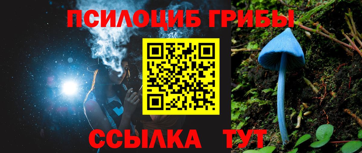 Камышлов  Псилоцибиновые грибы мухоморы  Вход с VPN 